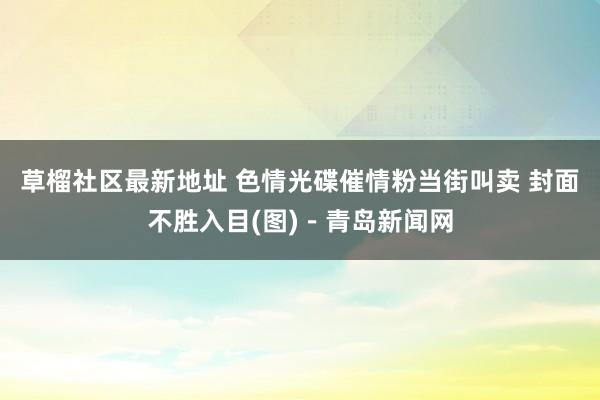 草榴社区最新地址 色情光碟催情粉当街叫卖 封面不胜入目(图)－青岛新闻网