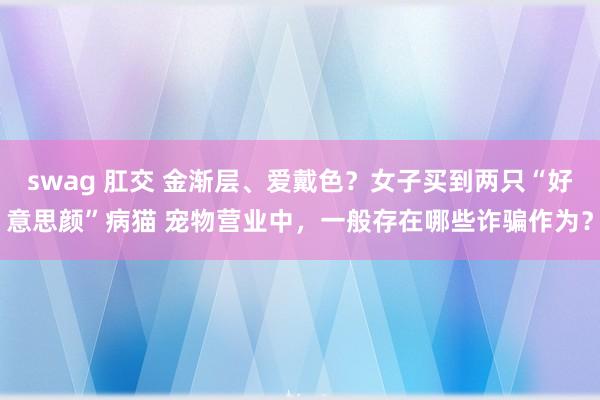 swag 肛交 金渐层、爱戴色？女子买到两只“好意思颜”病猫 宠物营业中，一般存在哪些诈骗作为？