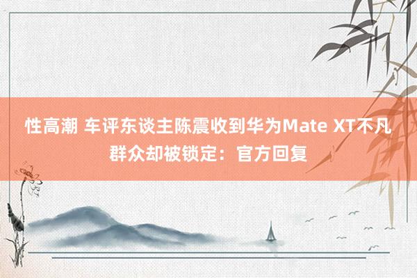 性高潮 车评东谈主陈震收到华为Mate XT不凡群众却被锁定：官方回复