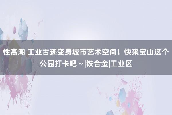 性高潮 工业古迹变身城市艺术空间！快来宝山这个公园打卡吧～|铁合金|工业区