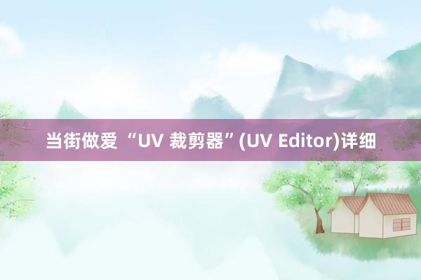 当街做爱 “UV 裁剪器”(UV Editor)详细