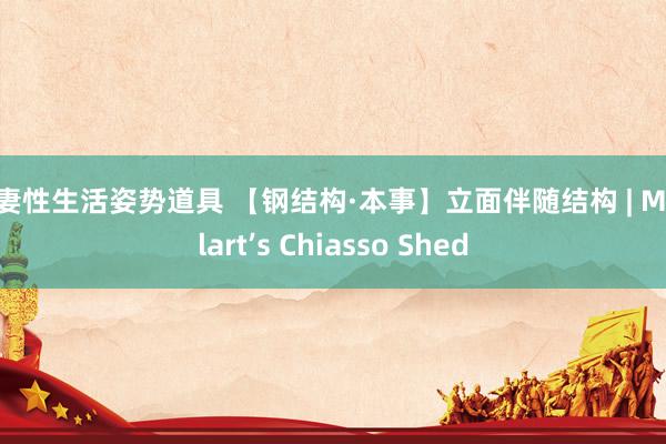 夫妻性生活姿势道具 【钢结构·本事】立面伴随结构 | Maillart’s Chiasso Shed