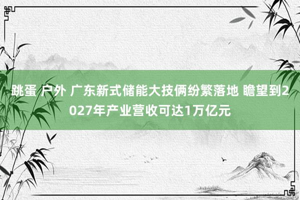 跳蛋 户外 广东新式储能大技俩纷繁落地 瞻望到2027年产业营收可达1万亿元