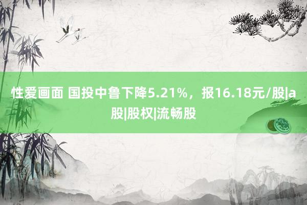 性爱画面 国投中鲁下降5.21%，报16.18元/股|a股|股权|流畅股