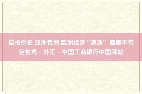 自拍偷拍 亚洲色图 欧洲经济“速冻” 回暖不笃定性高－外汇－中国工商银行中国网站