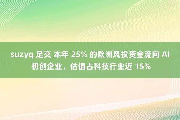 suzyq 足交 本年 25% 的欧洲风投资金流向 AI 初创企业，估值占科技行业近 15%